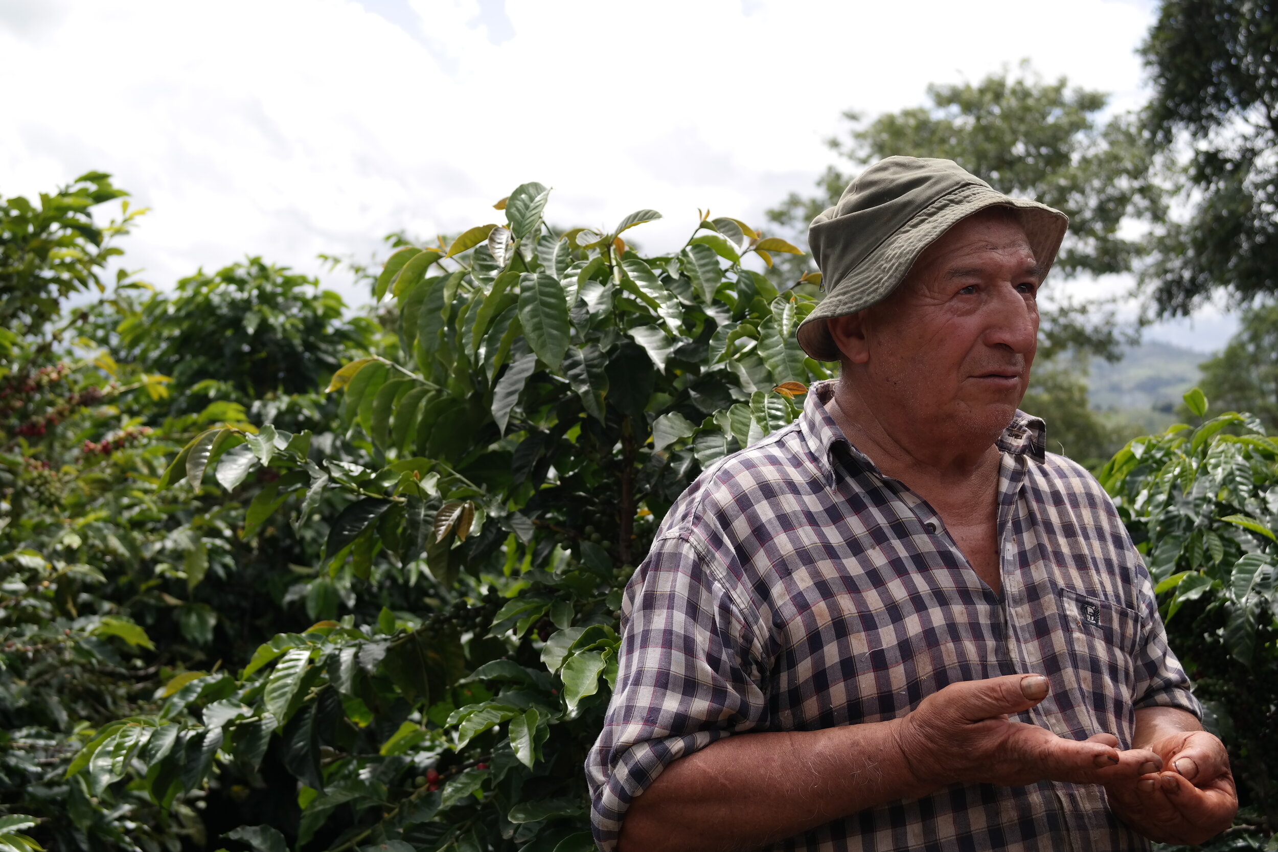 Kaffeplantagens ägare berättar om vägen från böna till kopp