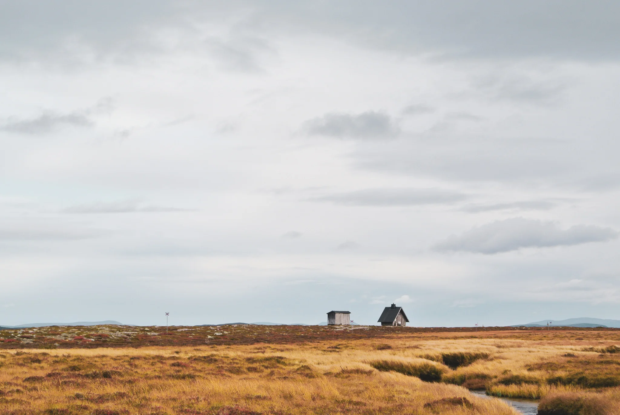 Töfsingdalens nationalpark: vildmarksvandring på en skandinavisk savann