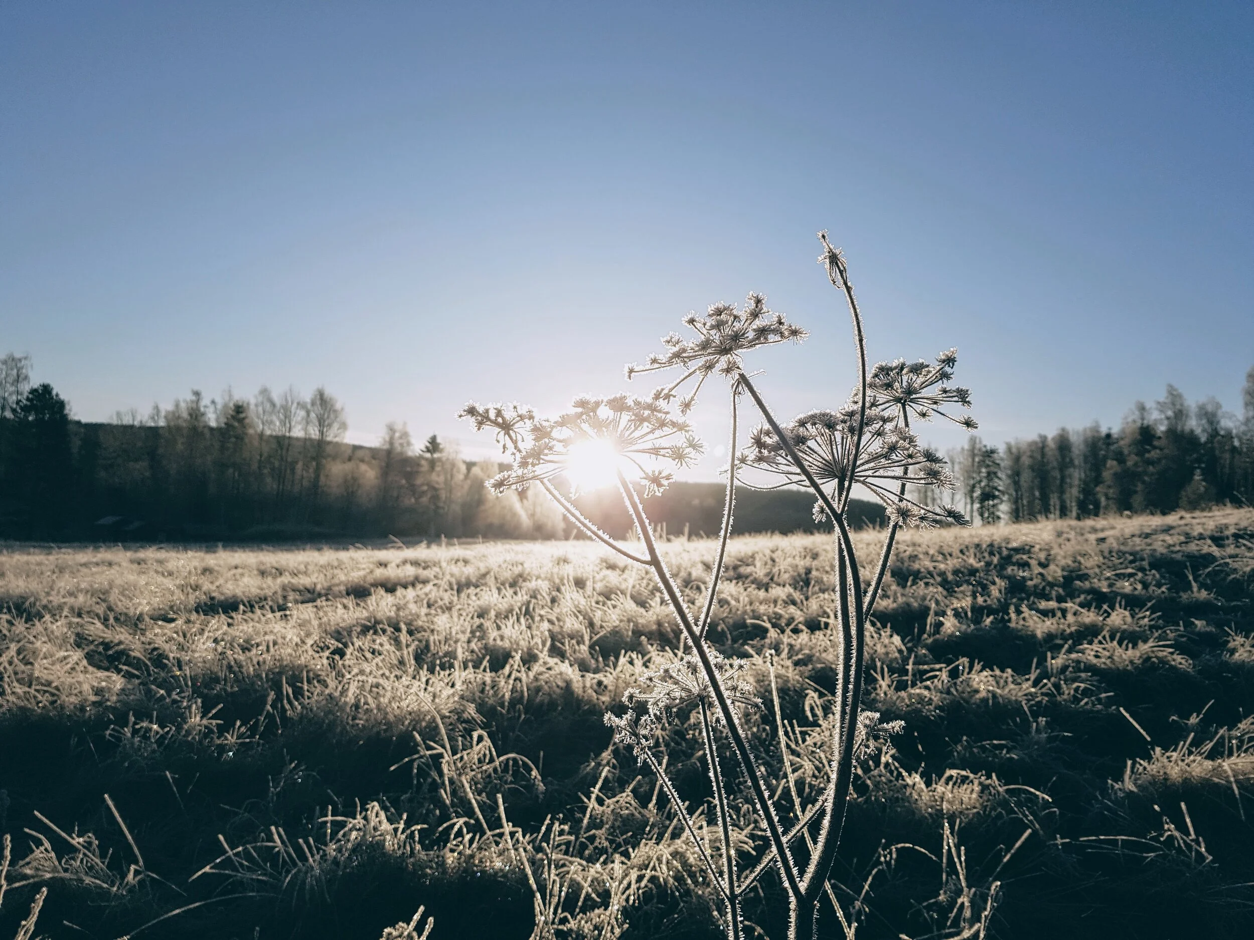 vinter-örebro.jpg