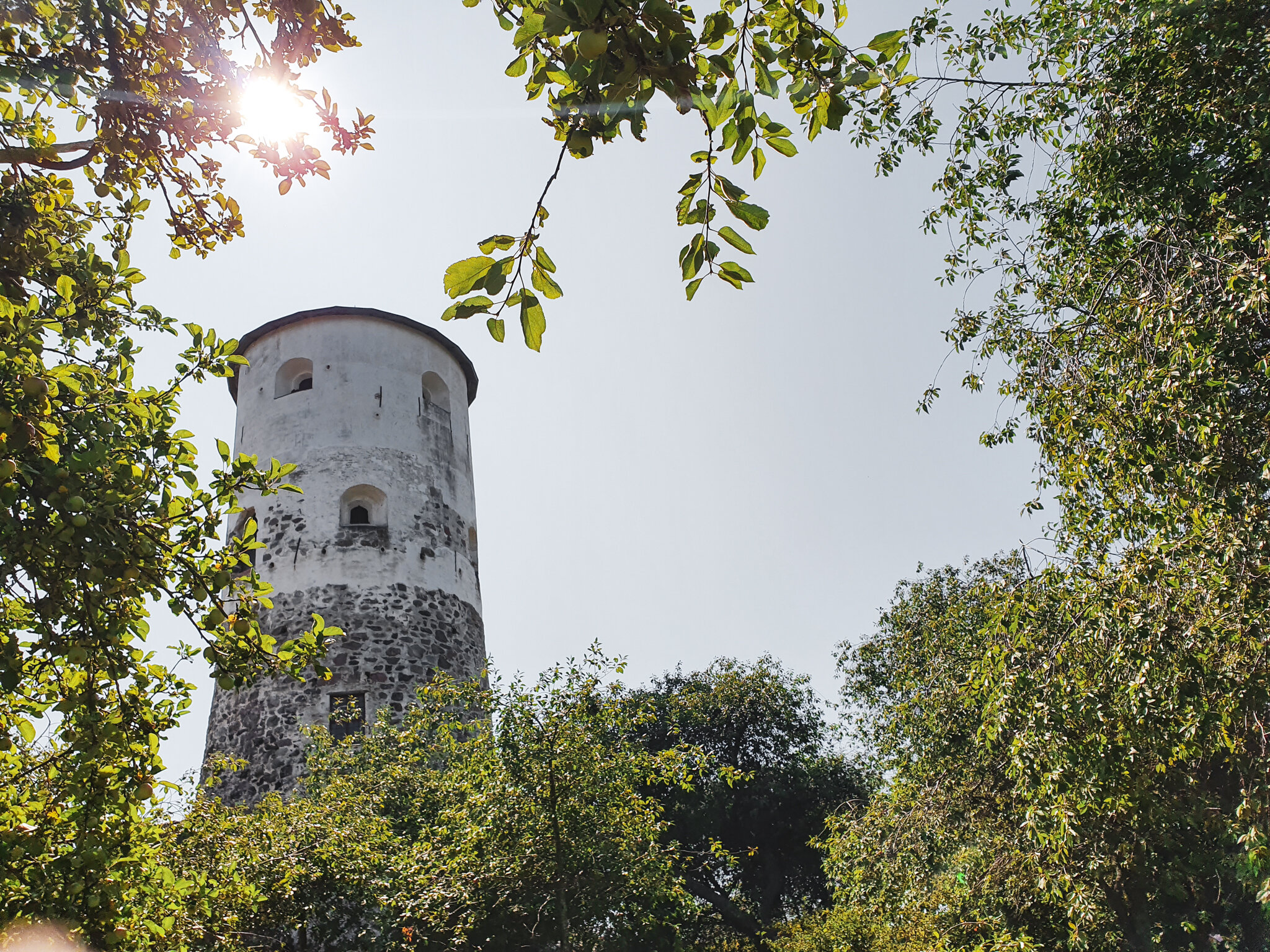 Stegeborgs slottsruin