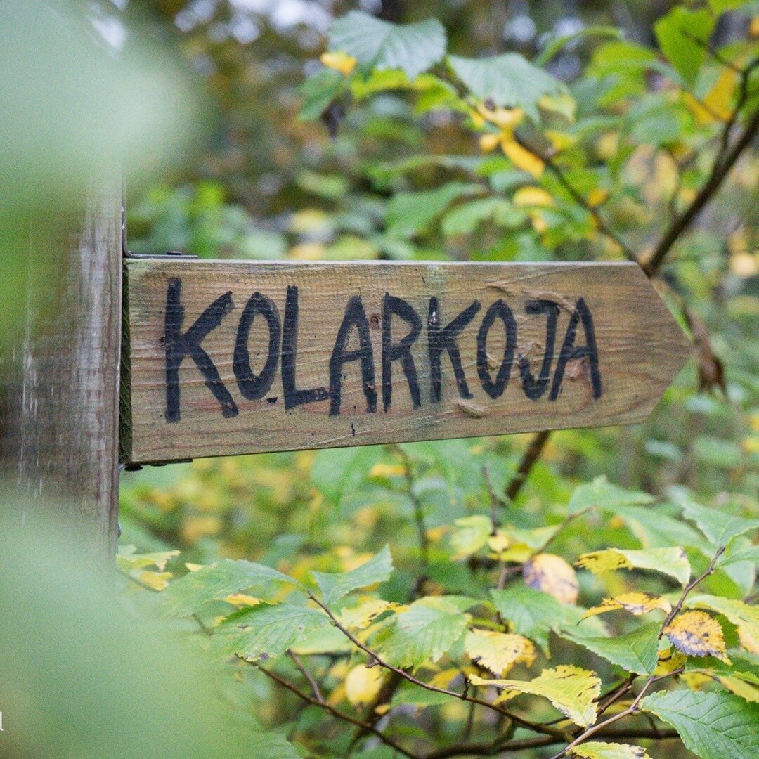 N&auml;r vi var i Bergslagen i helgen, var v&auml;dret novembrigt och regnet st&auml;nkte s&aring; att glas&ouml;gonen hade beh&ouml;vt vindrutetorkare. Men luften var sk&ouml;n och skogen s&aring; gr&ouml;n!⁠
⁠
Vi fick tips av &auml;garen till @hote