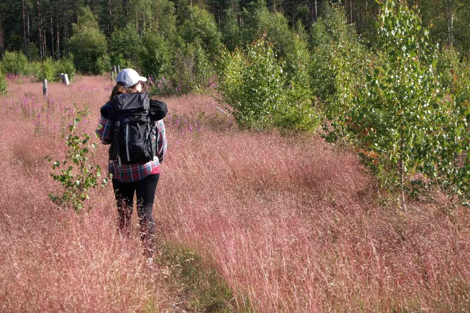 6 tips på korta vandringar i södra Dalarna
