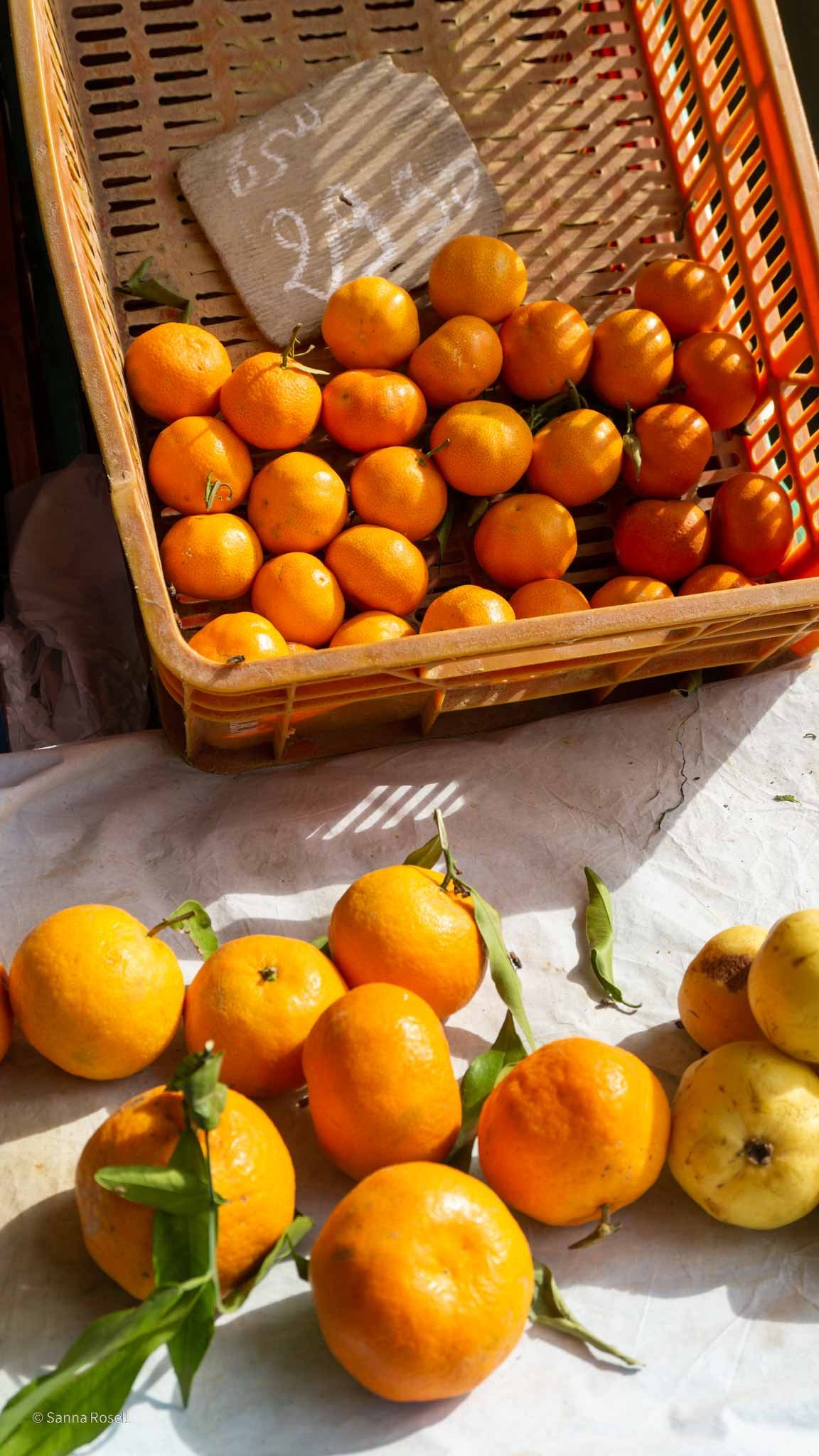 Solmogna citrusfrukter