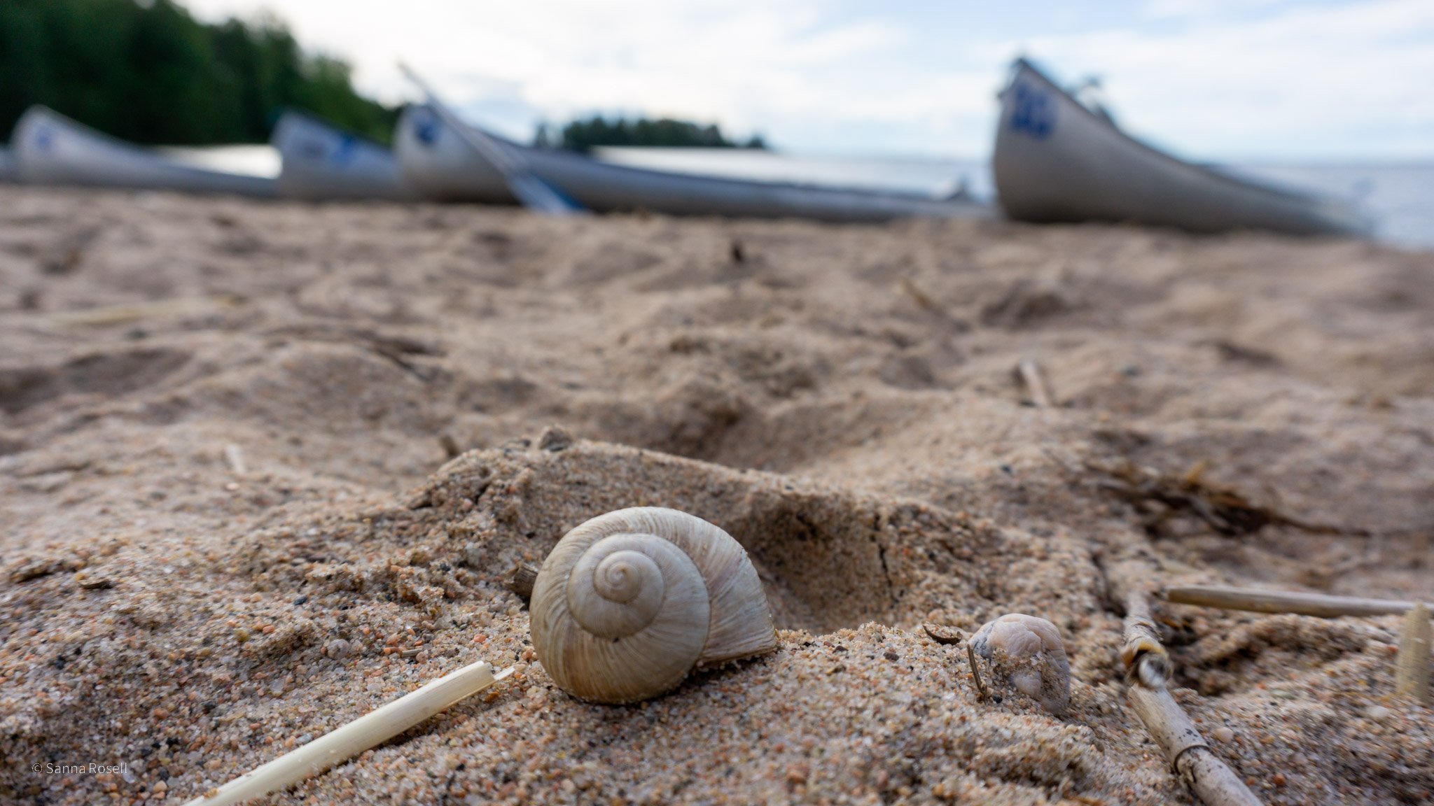 Paddlingen startar vid sandstranden