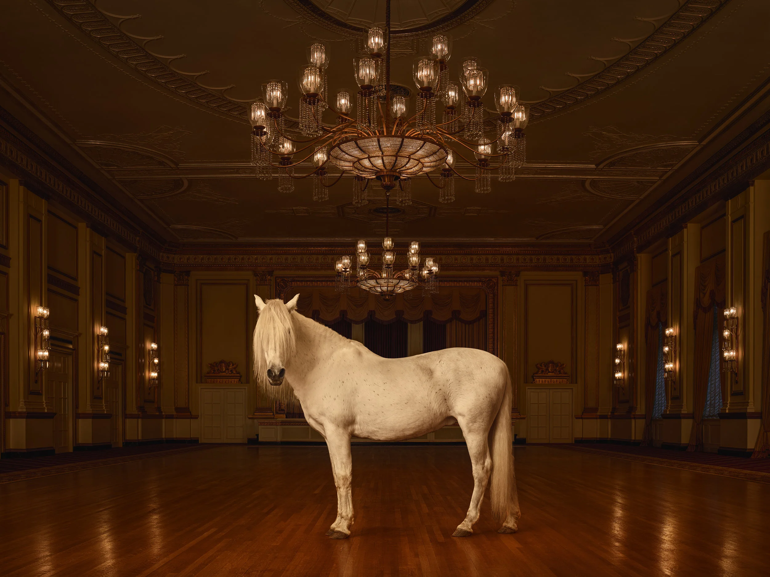Traditionally Unexpected - Dennis Gocer - The Collective You.jpg