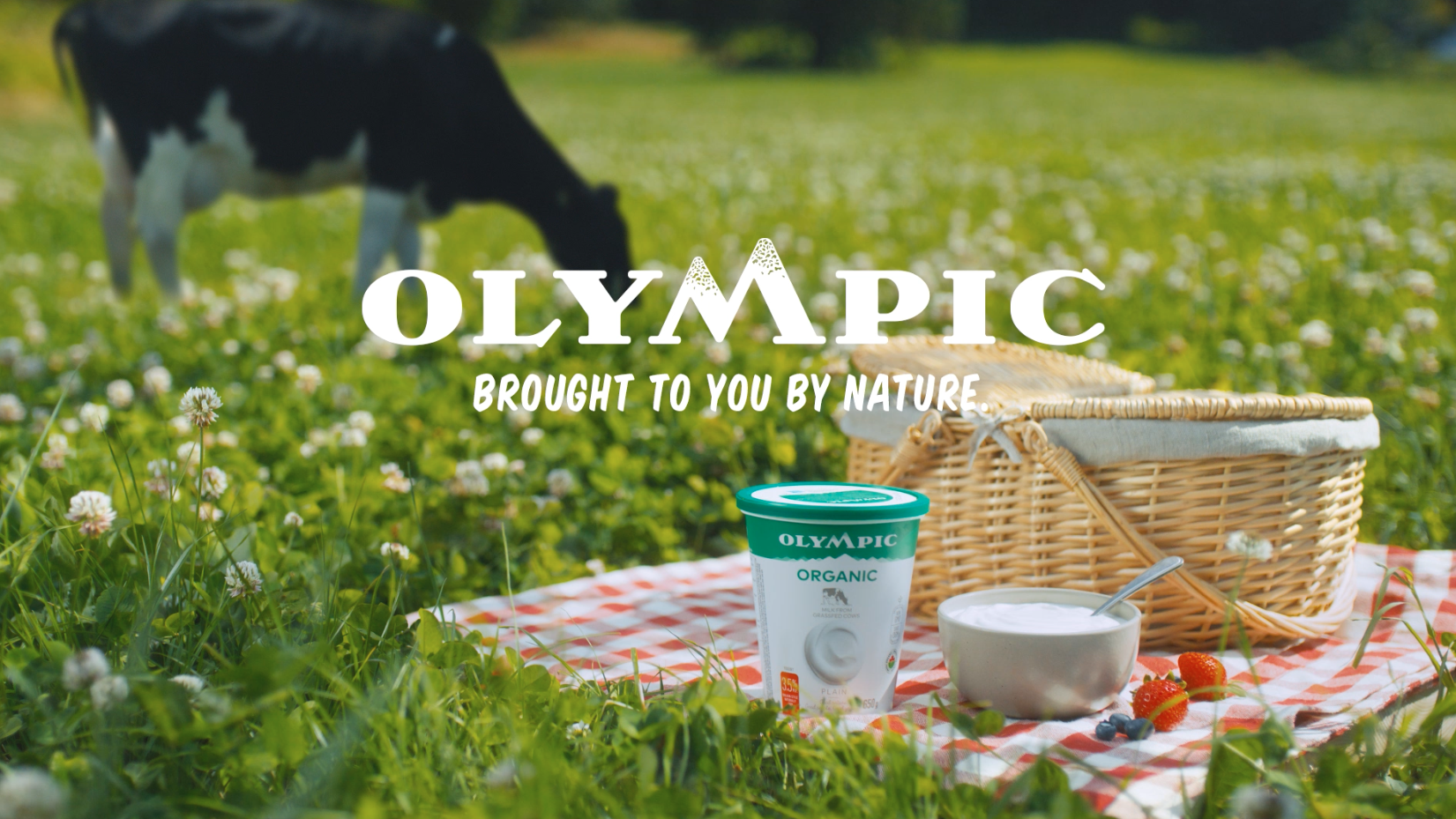 Olympic Yogurt - Touching Grass
