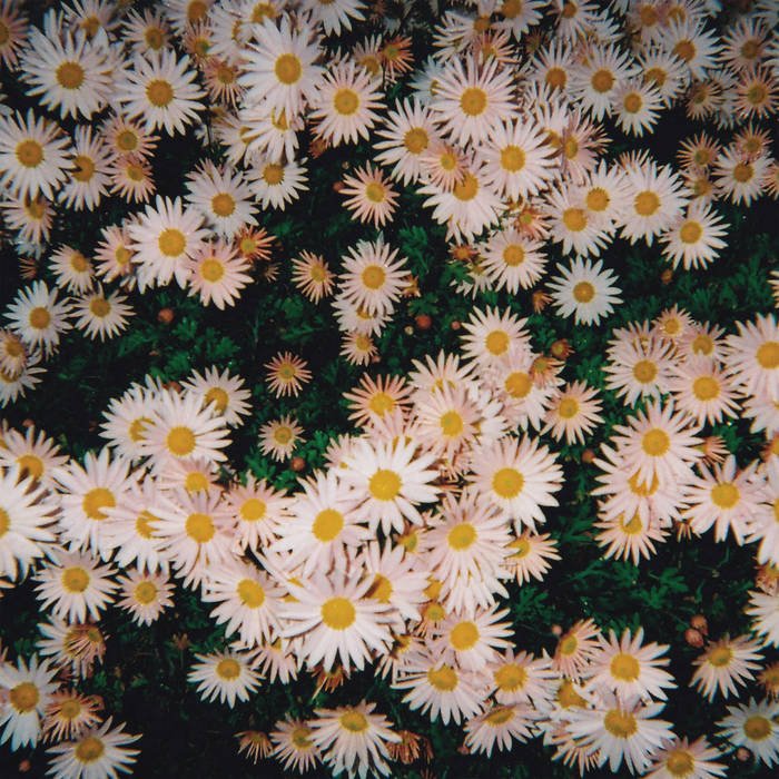 bad bad hats - 'bad bad hats' (2024)  

producer, engineer, drums