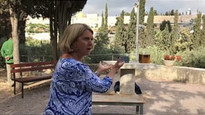 The Mount of Olives, Israel 2017