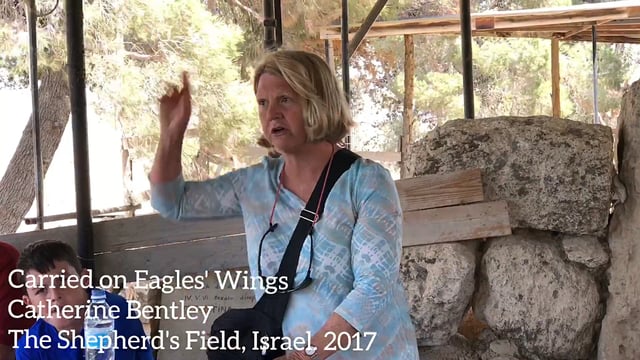 The Shepherd's Field, Israel 2017