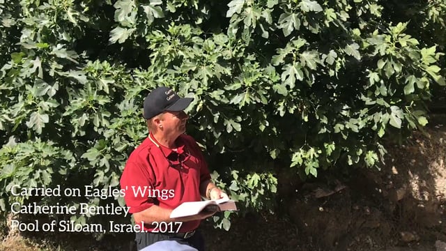 Pool of Siloam, Israel 2017