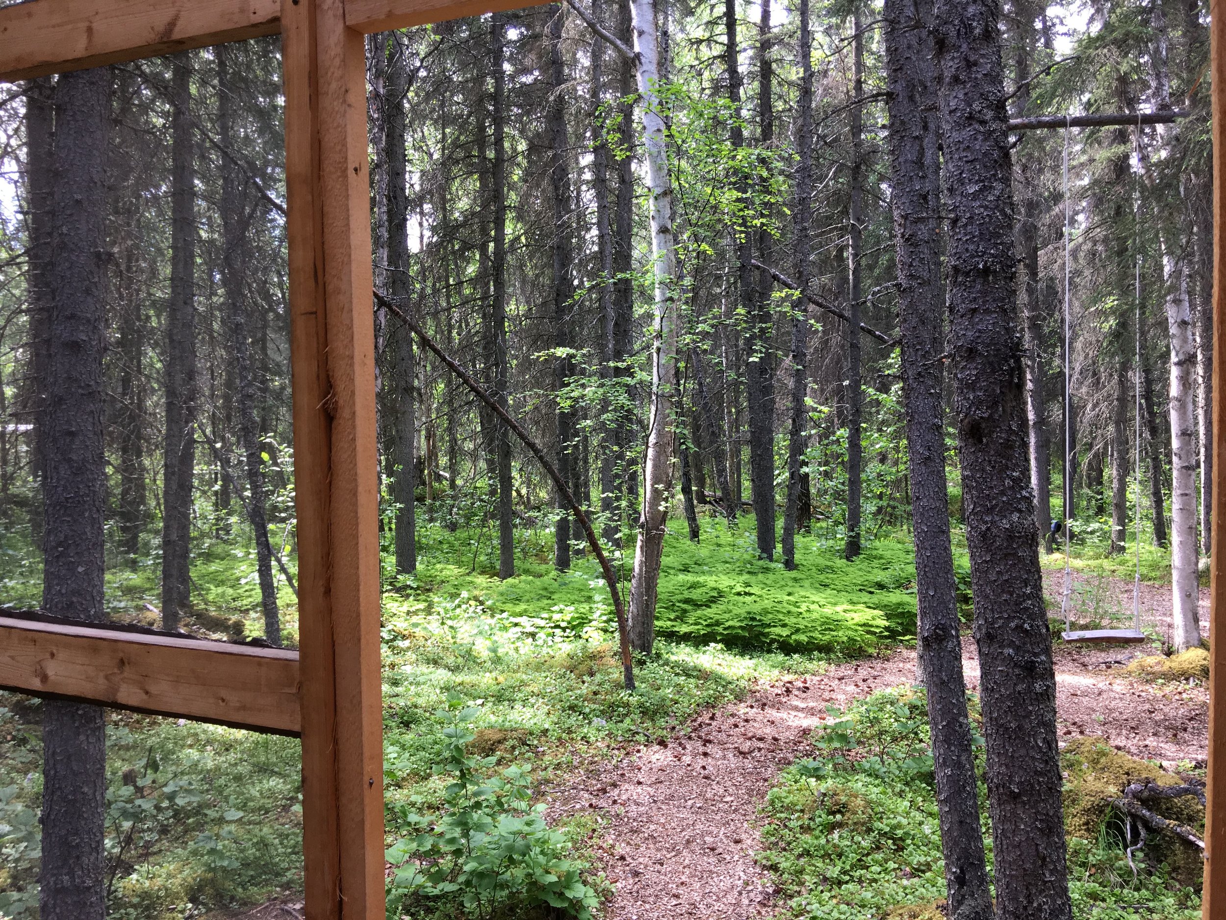 Campground Views Port Alsworth Alaska