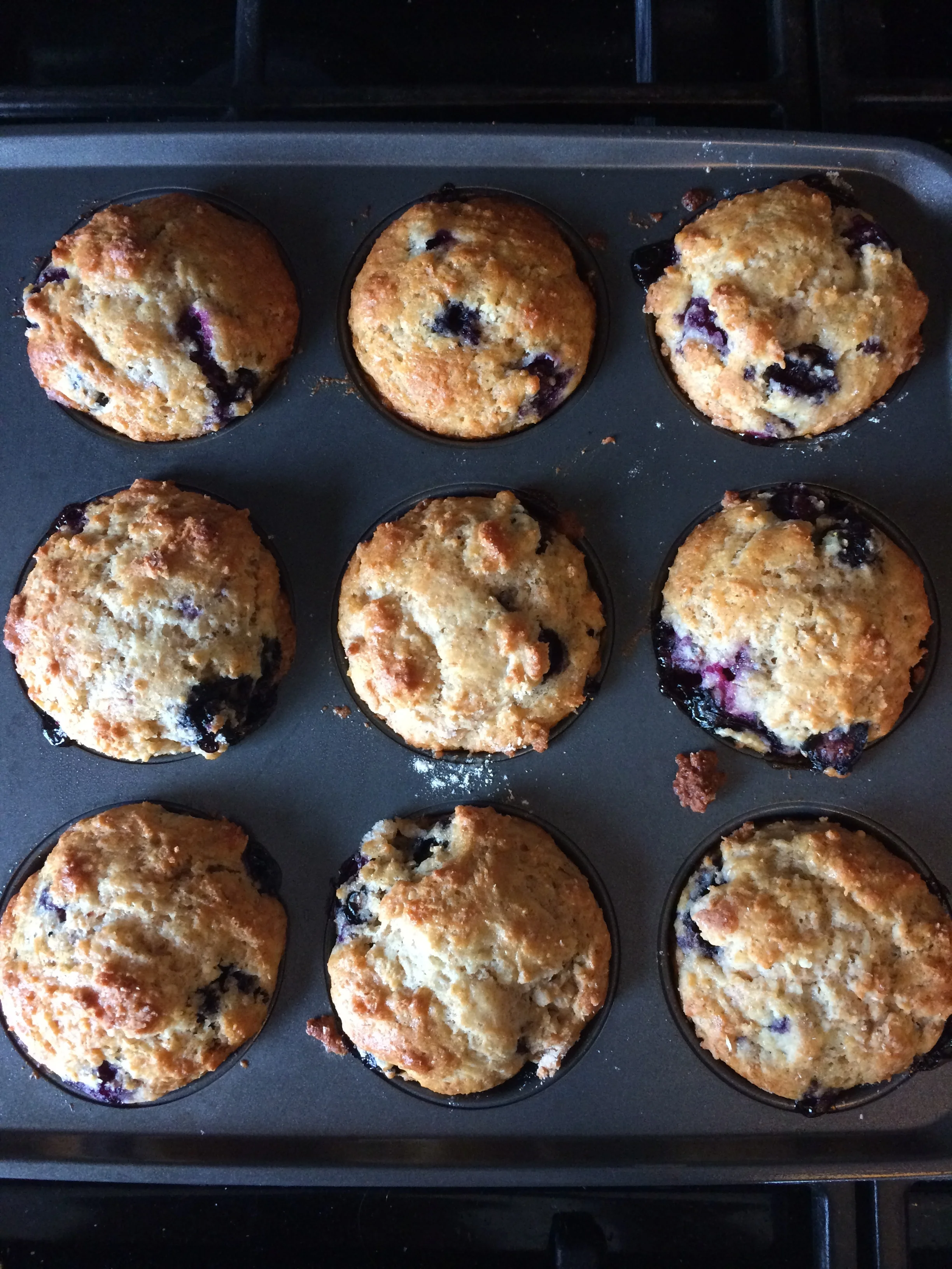 PerfectBlueberryMuffins.JPG