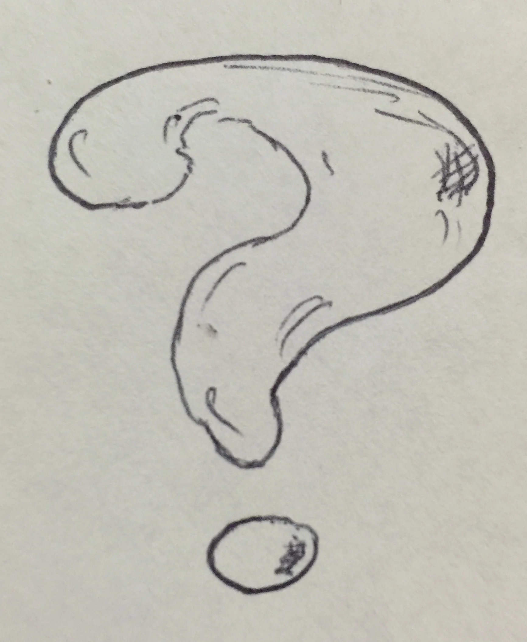 Trivia with Jack -- The Bug (after trivia)