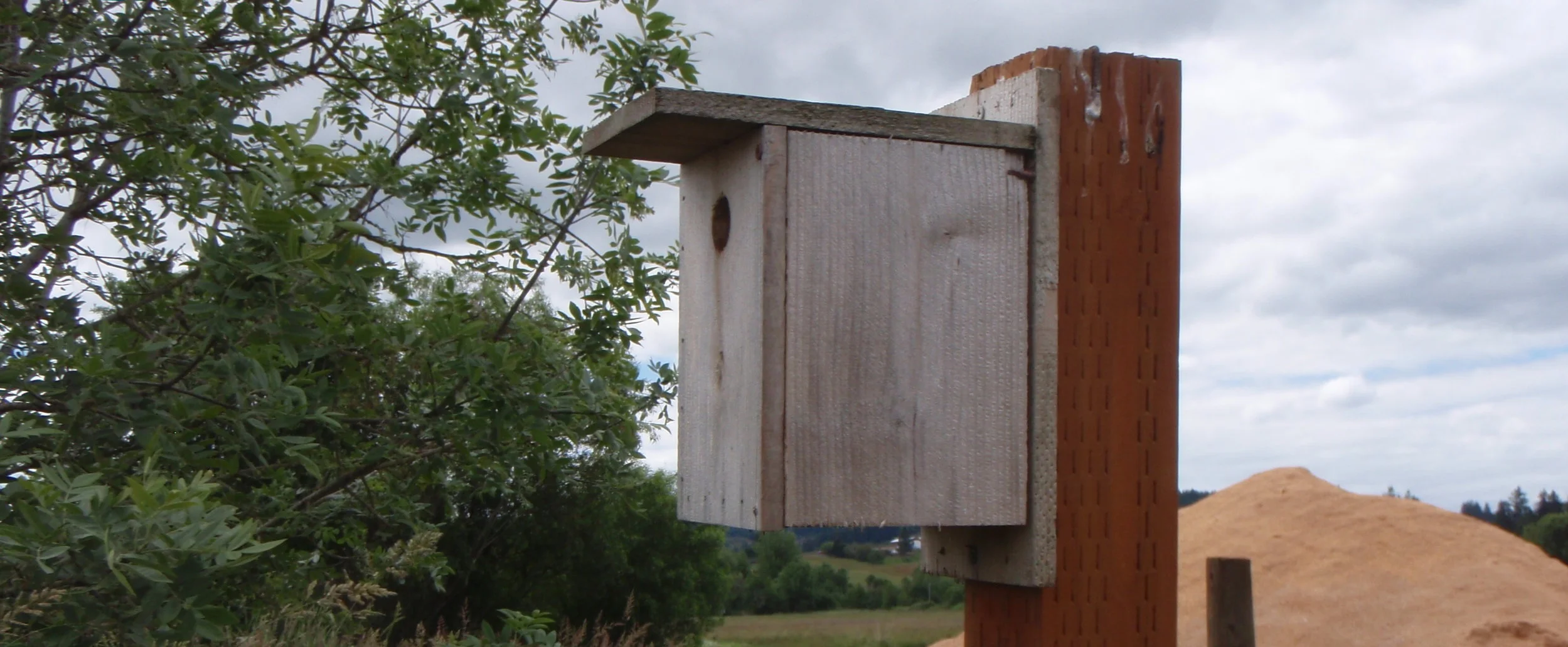 bluebird+house.jpg