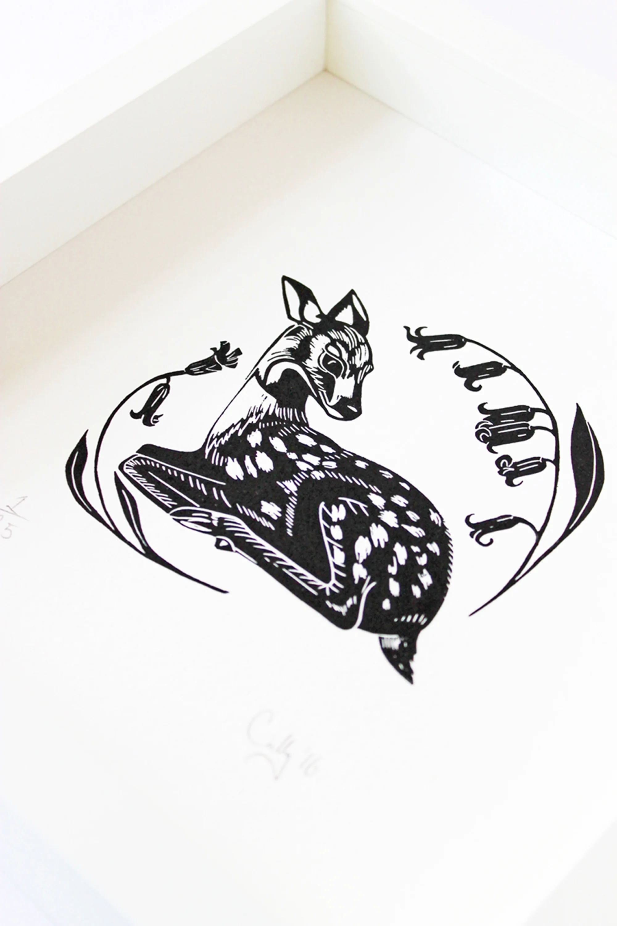 Deer.jpg