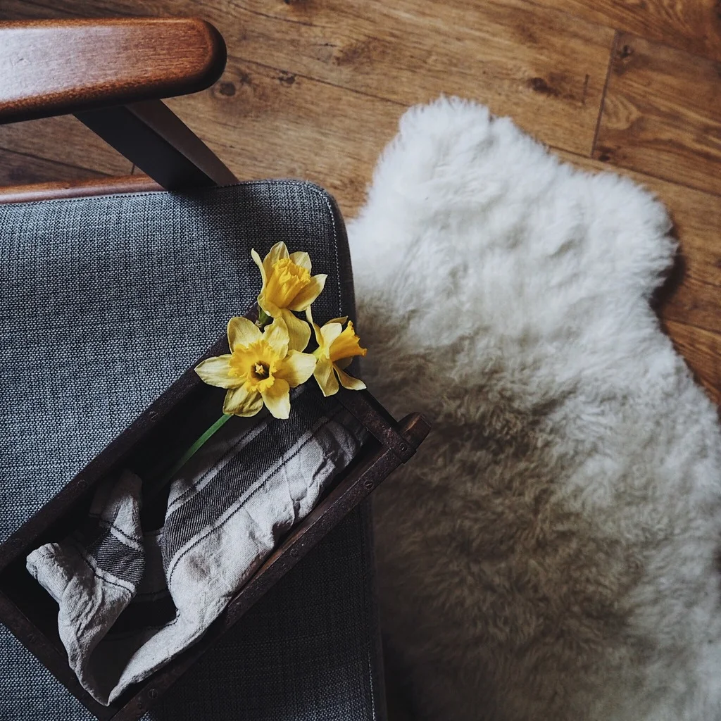 Daffodils on the corner of an armchair.jpg