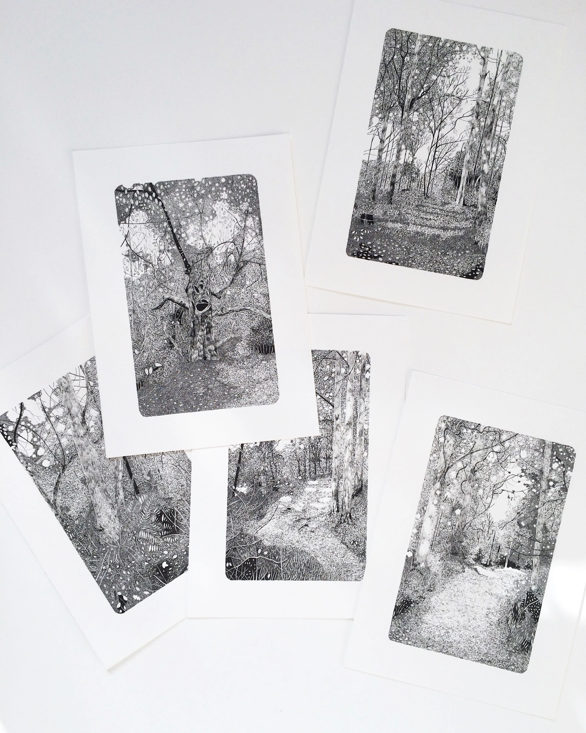 Claire Leach - Woodland Studies Series.jpeg