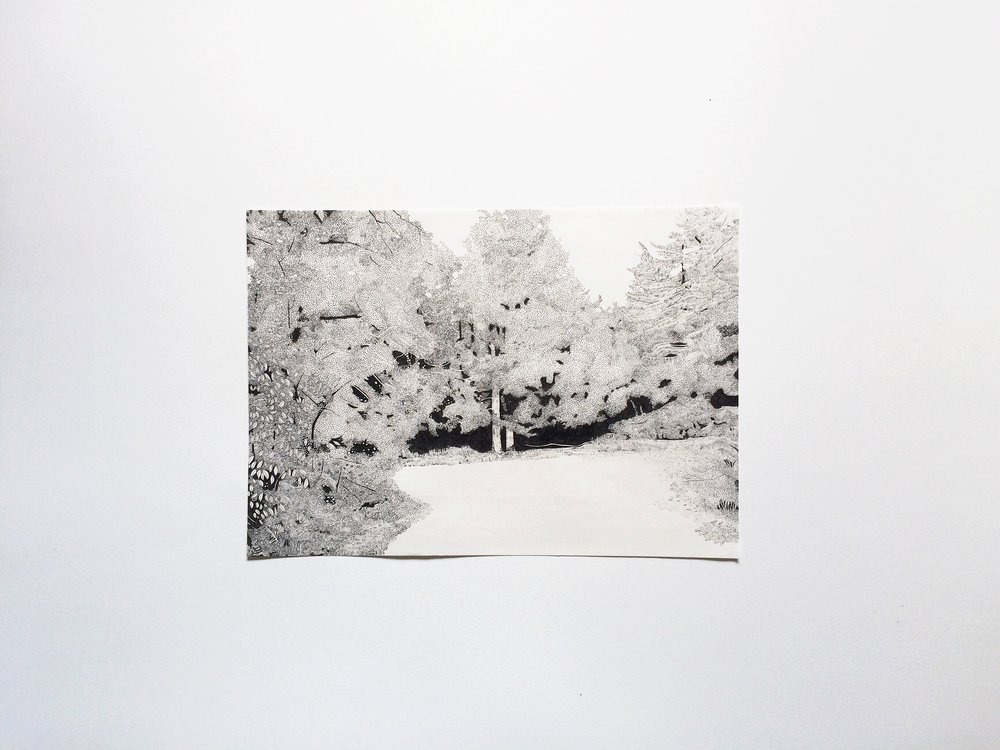 Claire Leach -Pathway III.jpeg