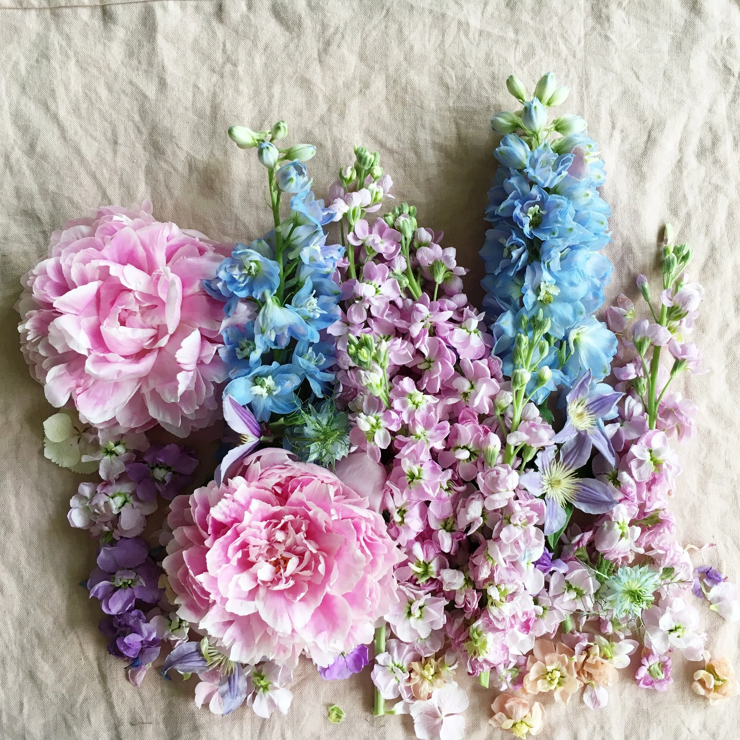 Just A Card Social Media Tutorials: Day 2