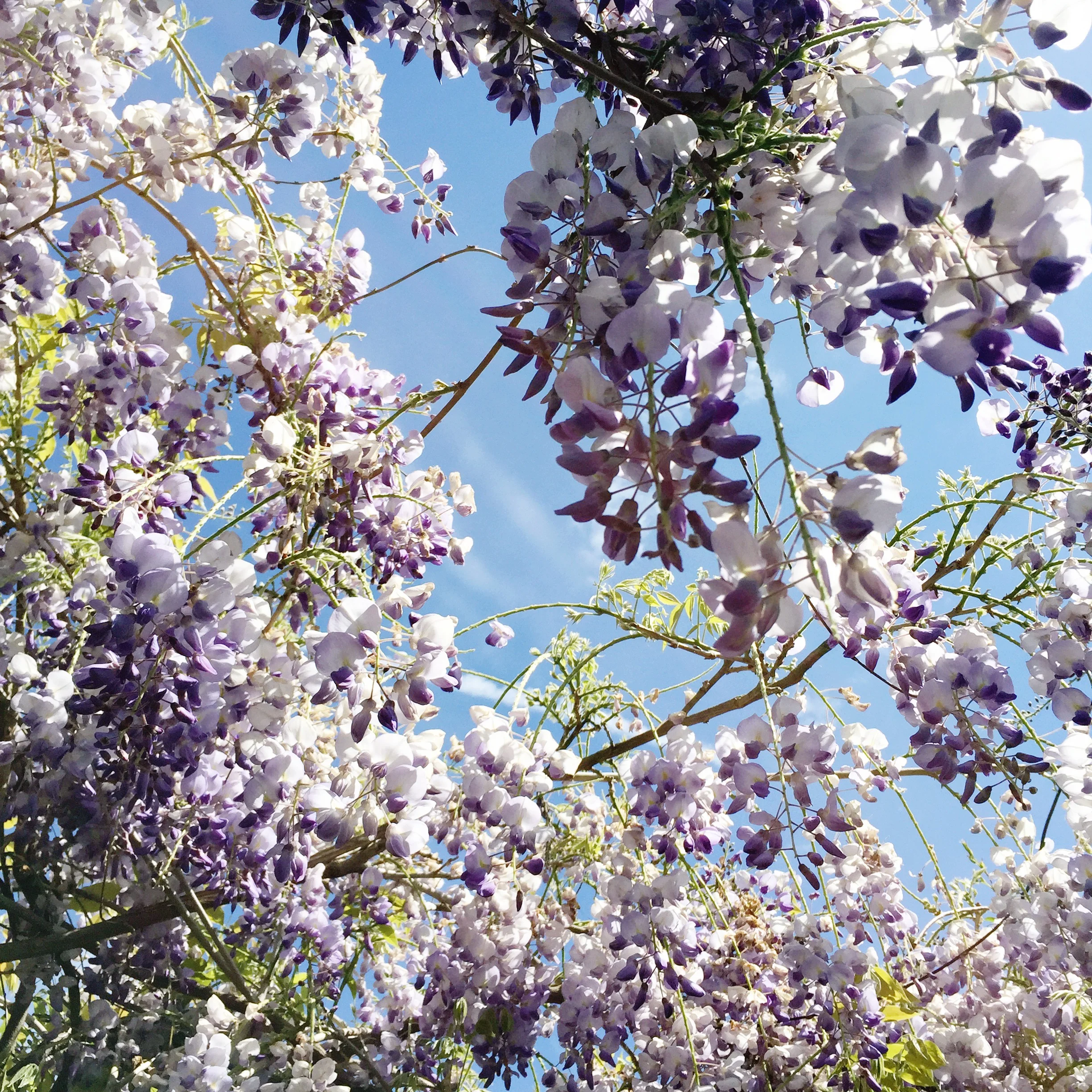 Just A Card Social Media Tutorials: Day 4