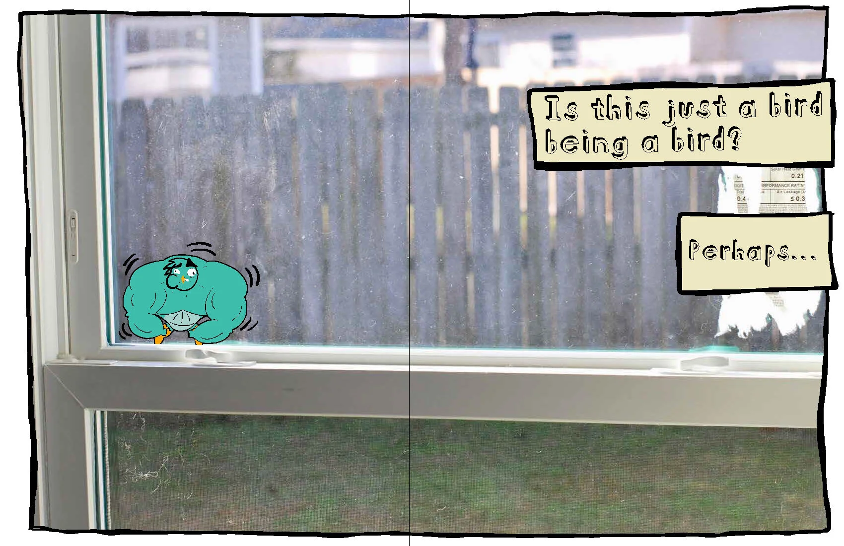 small_bird_page27-28.jpg