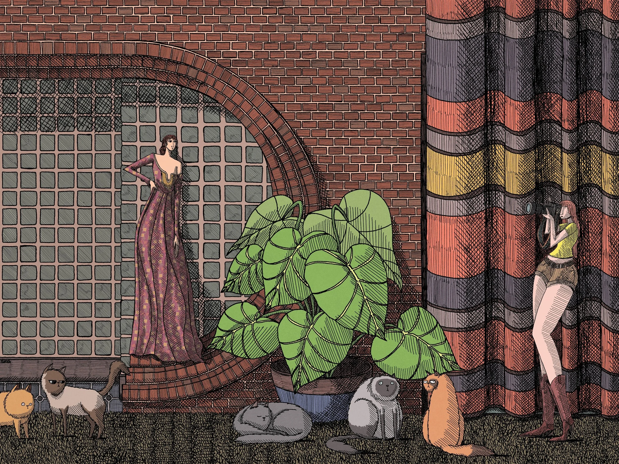 0120Sean_Gallagher_Cats_Photographer copy.jpg