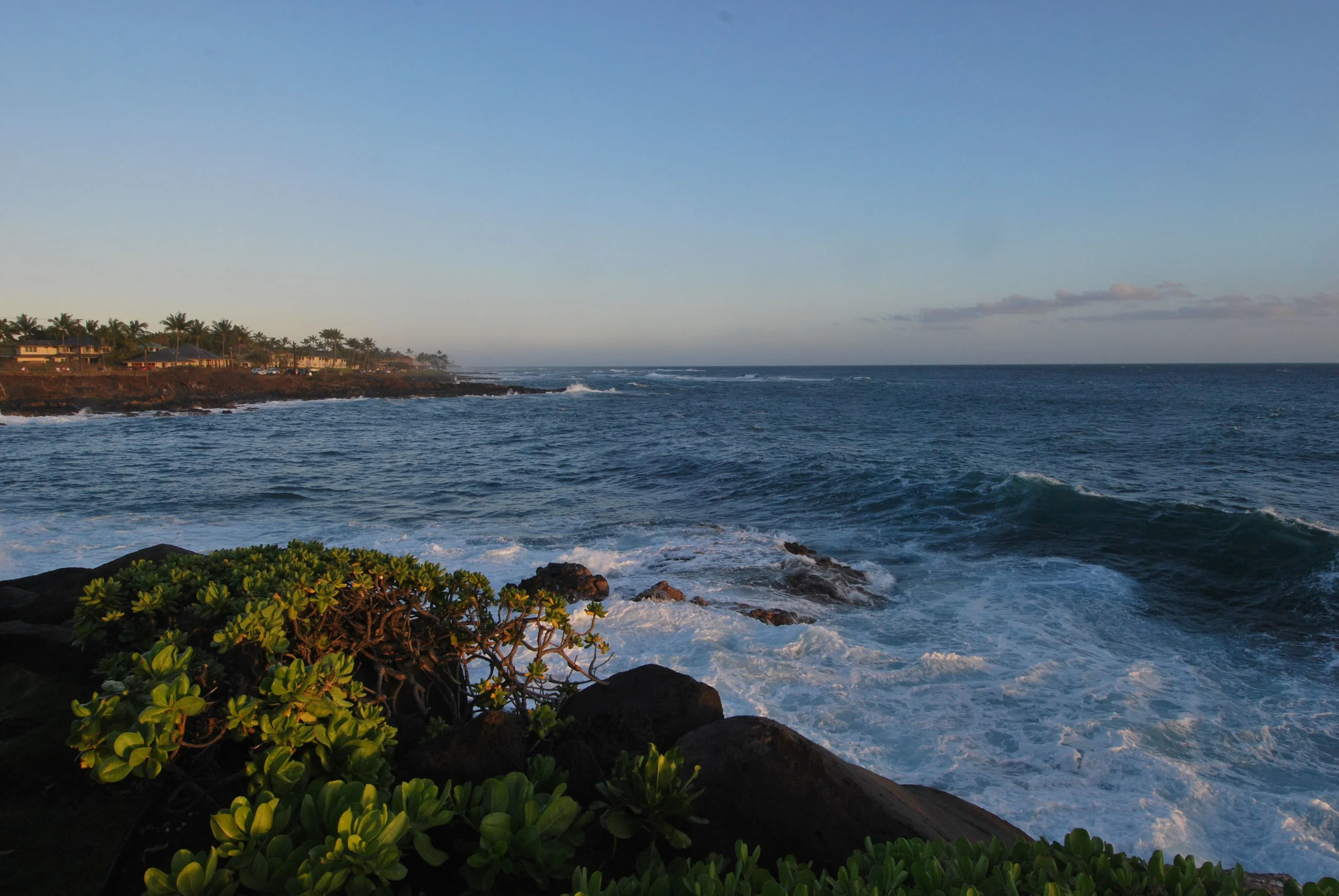 Evolve: Transform Your Internal Template - Hawaii Retreat/ ONE SPOT LEFT!!!