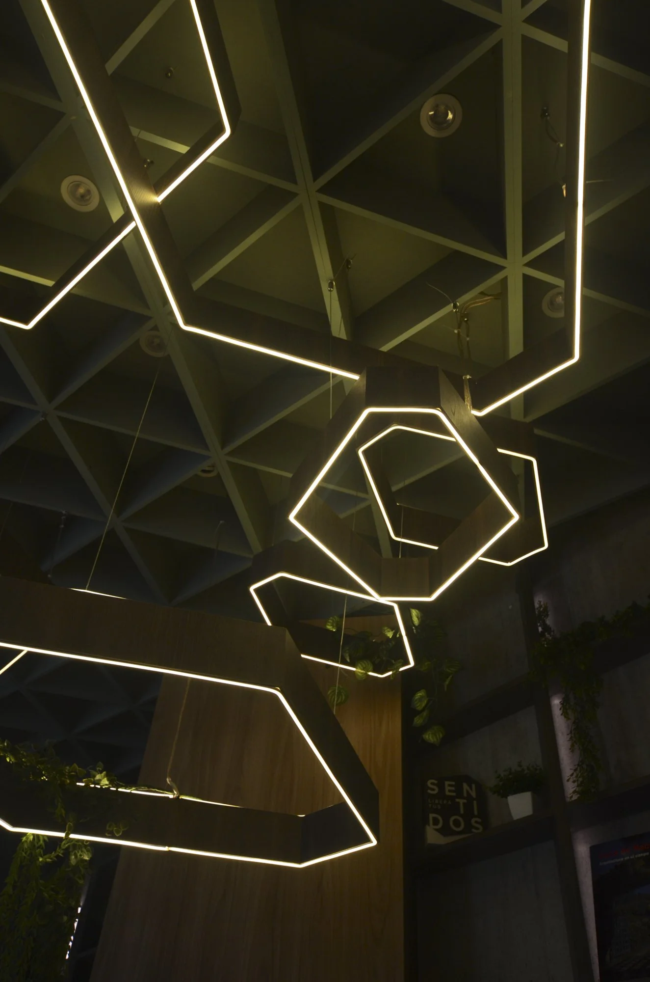 CEXP BOGOTA2024 40.JPG