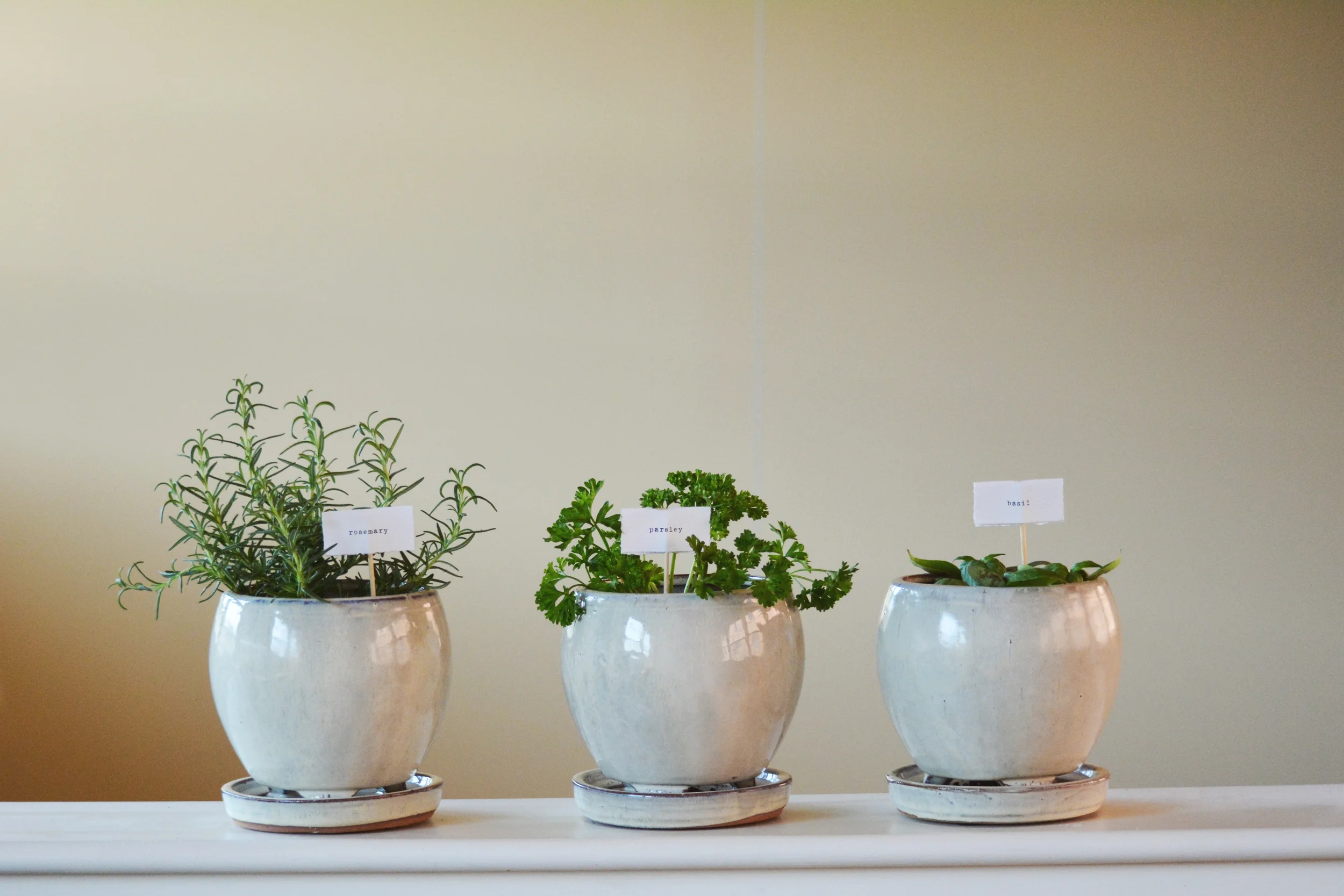 Mother's Day Herb Garden