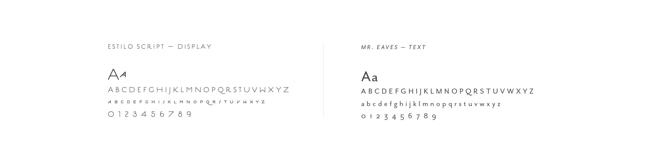 seedlings-fonts.png