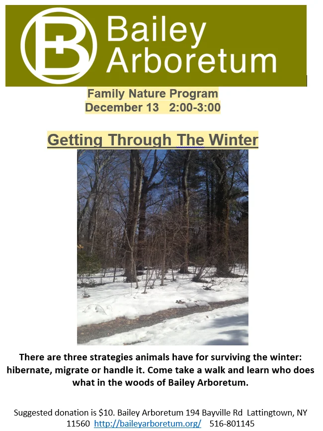 Family Nature Adventures