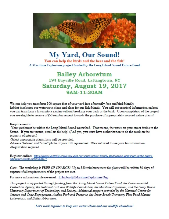 My Yard, Our Sound!