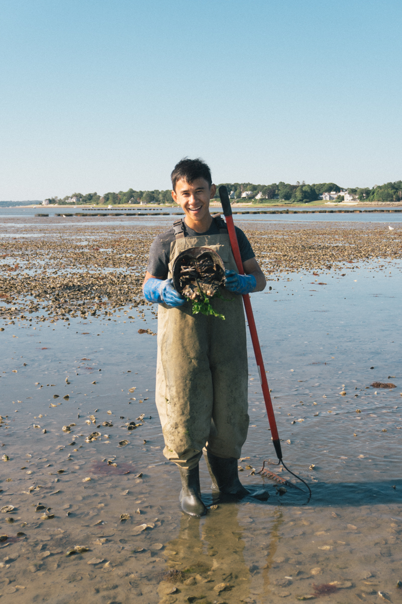 Jonathan super excited to find a horseshoe crab on the farm...