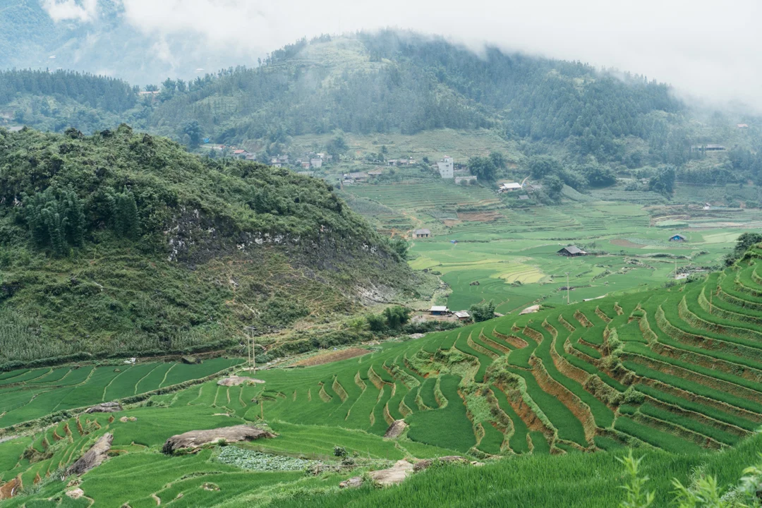 sapa-19.jpg