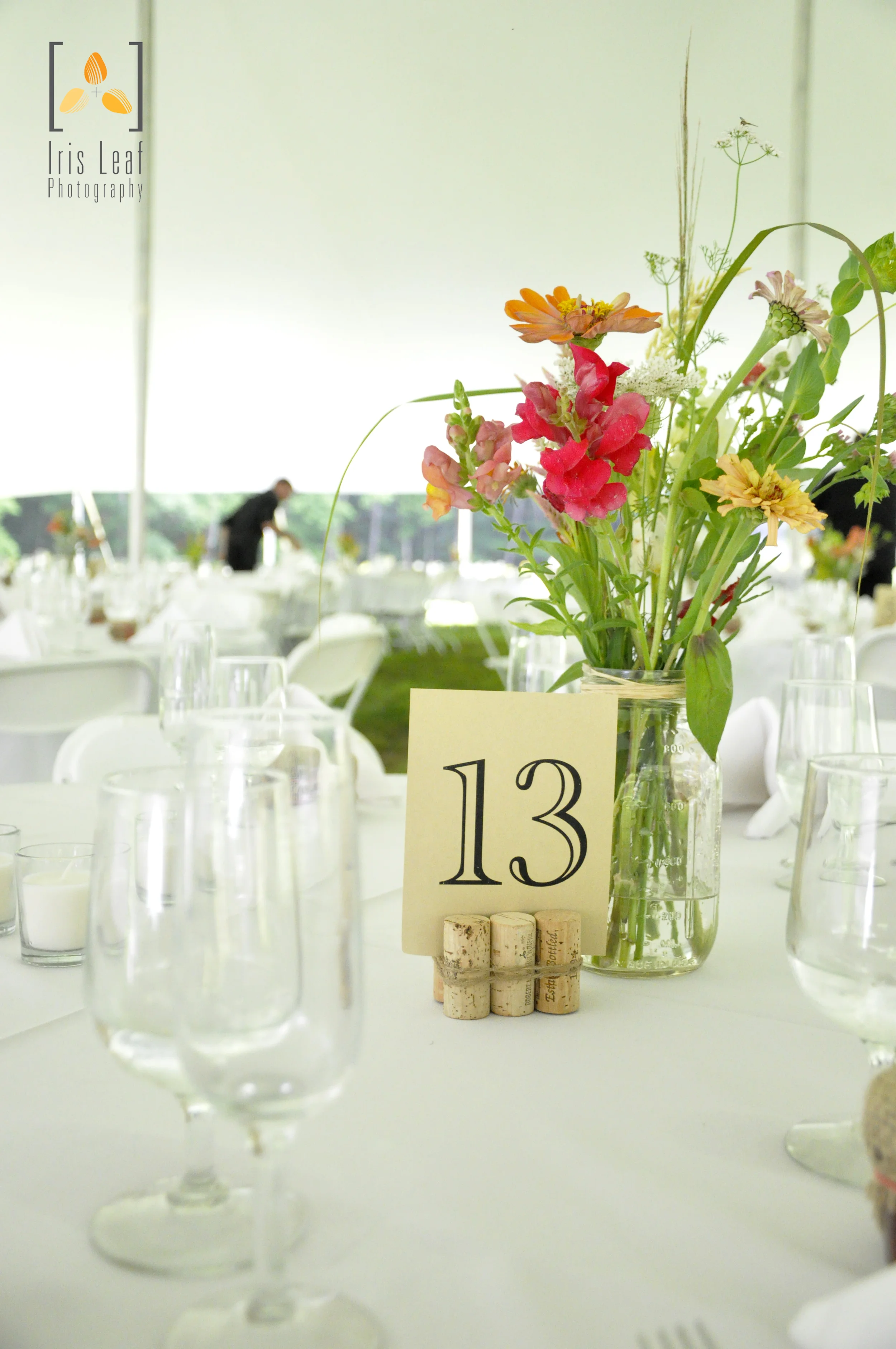  Photo credit:  Iris Leaf Photography  