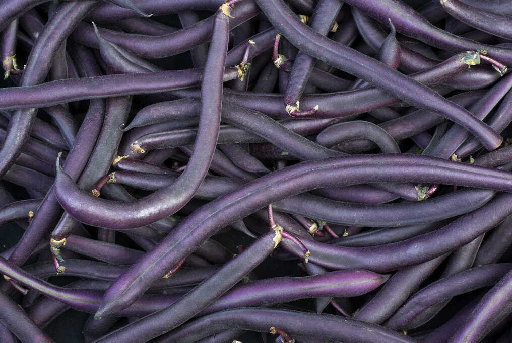 Royal Burgundy Bean.jpeg