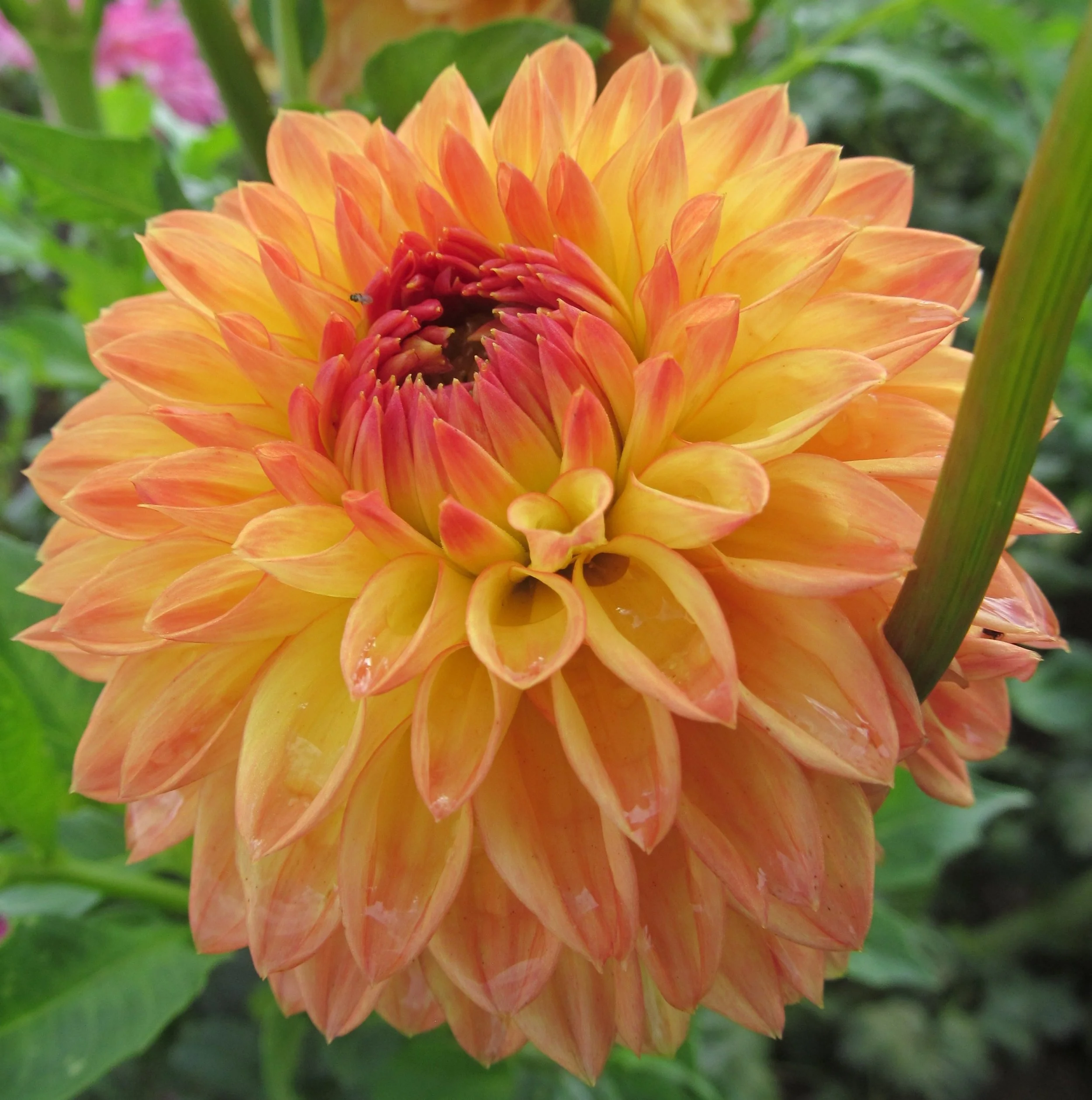 Woodland Wondrous.jpeg