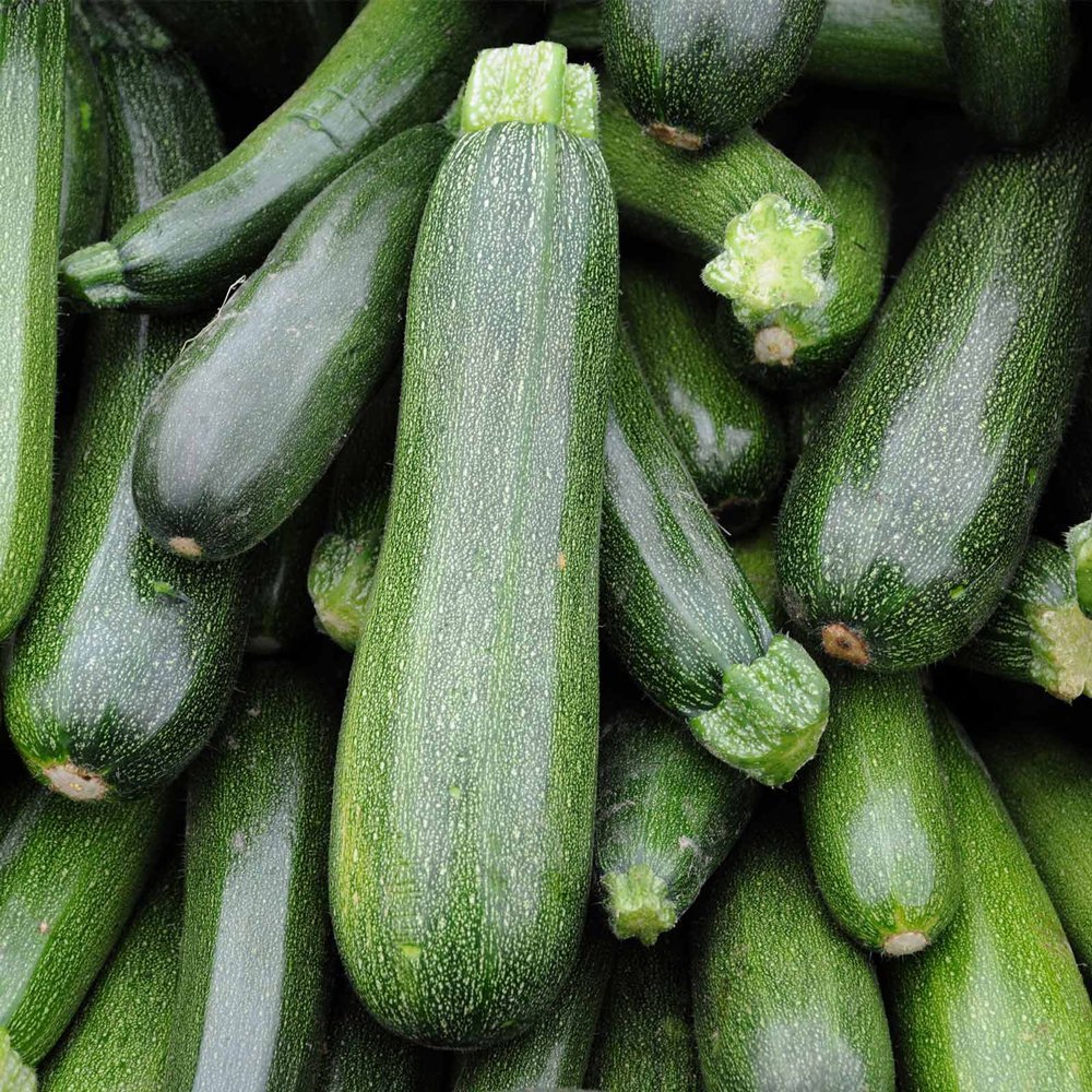 spinless_beauty_squash_plant_2304_detail.jpeg
