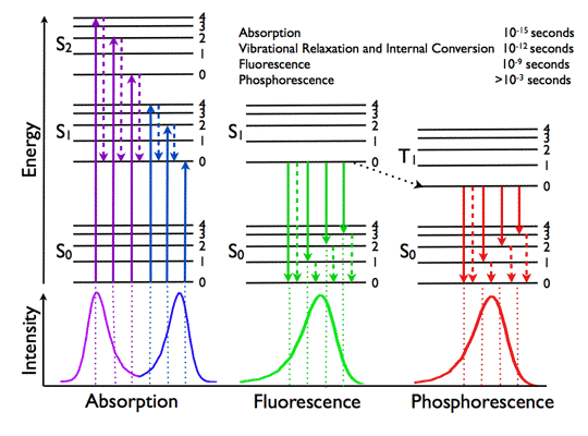 Диаграмма яблонского теренина