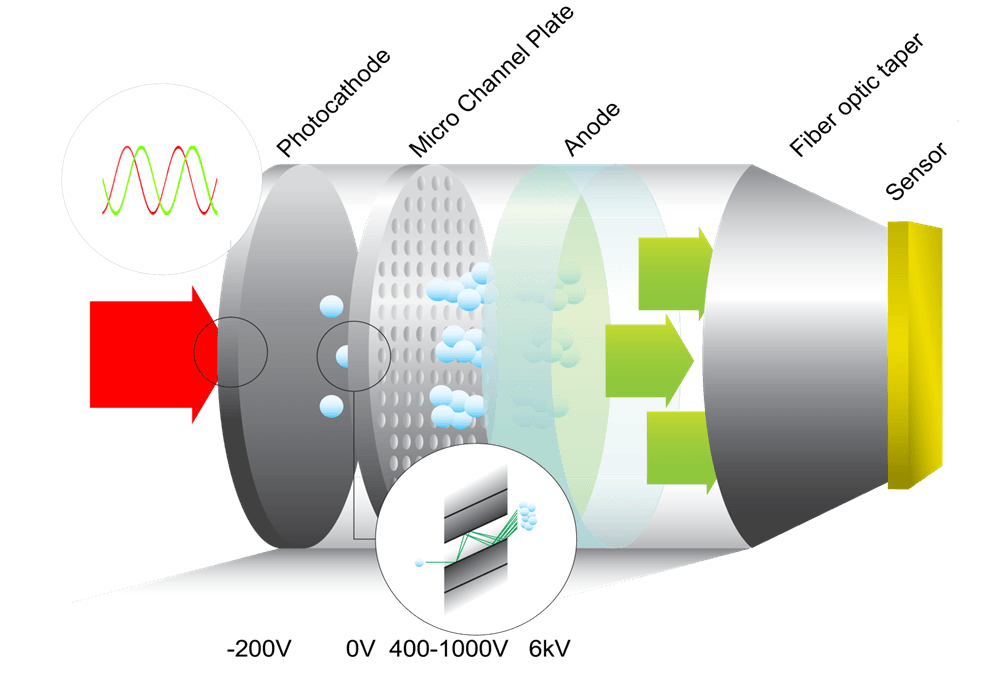 Figure 1. Schematic representation of a proximity-focused image intensifier, showing its photocathode, micro-channel plate and anode, fiber-optically coupled to a sensor.