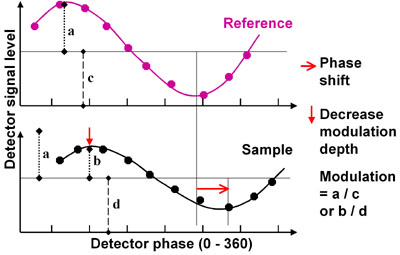 Schematic overview of factors that are important for calculating the fluorescence lifetime.