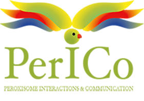 logo-perico-def-2-1.png