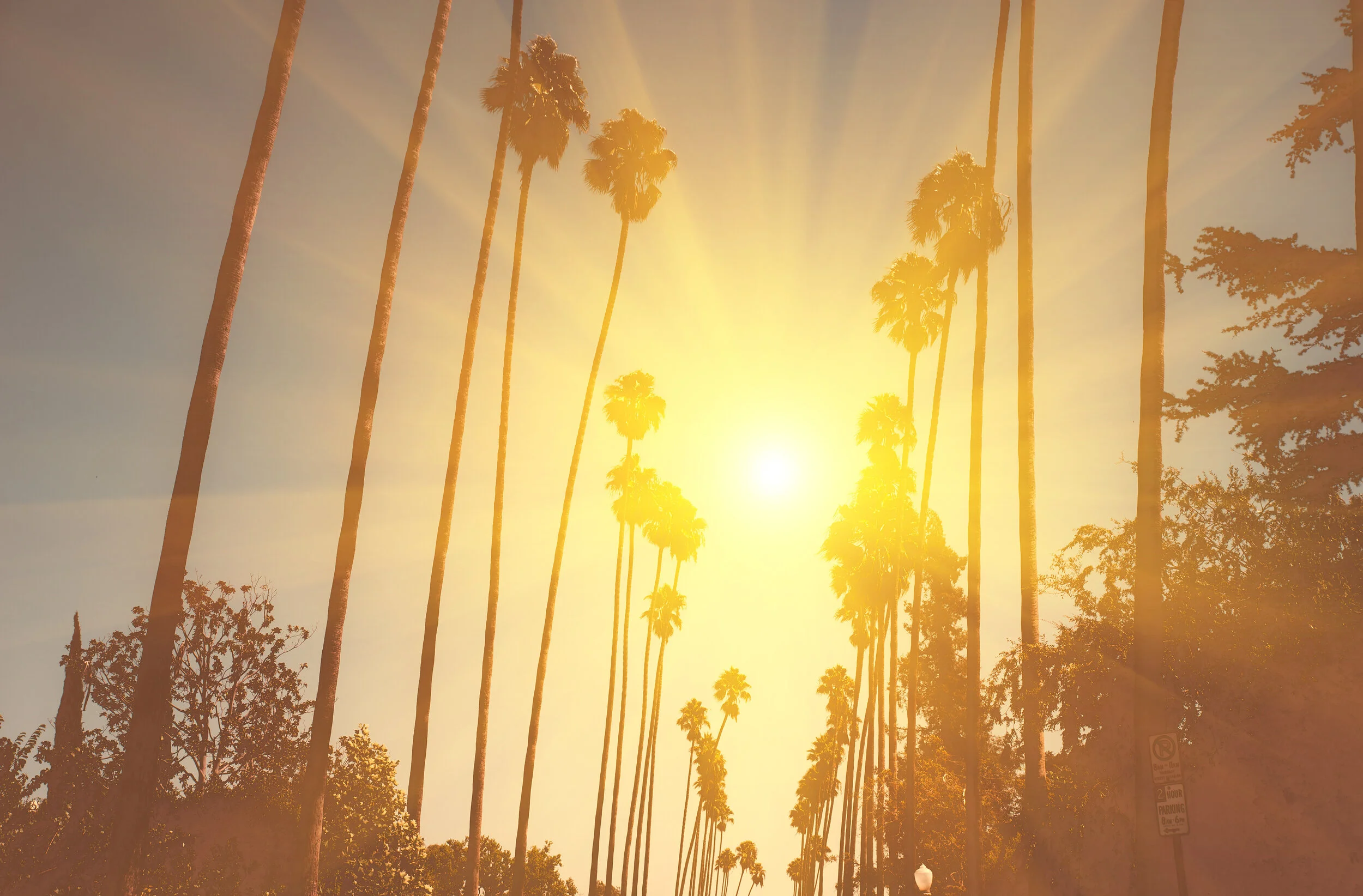 Gold Coast Sunshine Premium