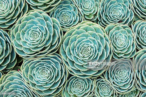 Photo by OGphoto/iStock / Getty Images