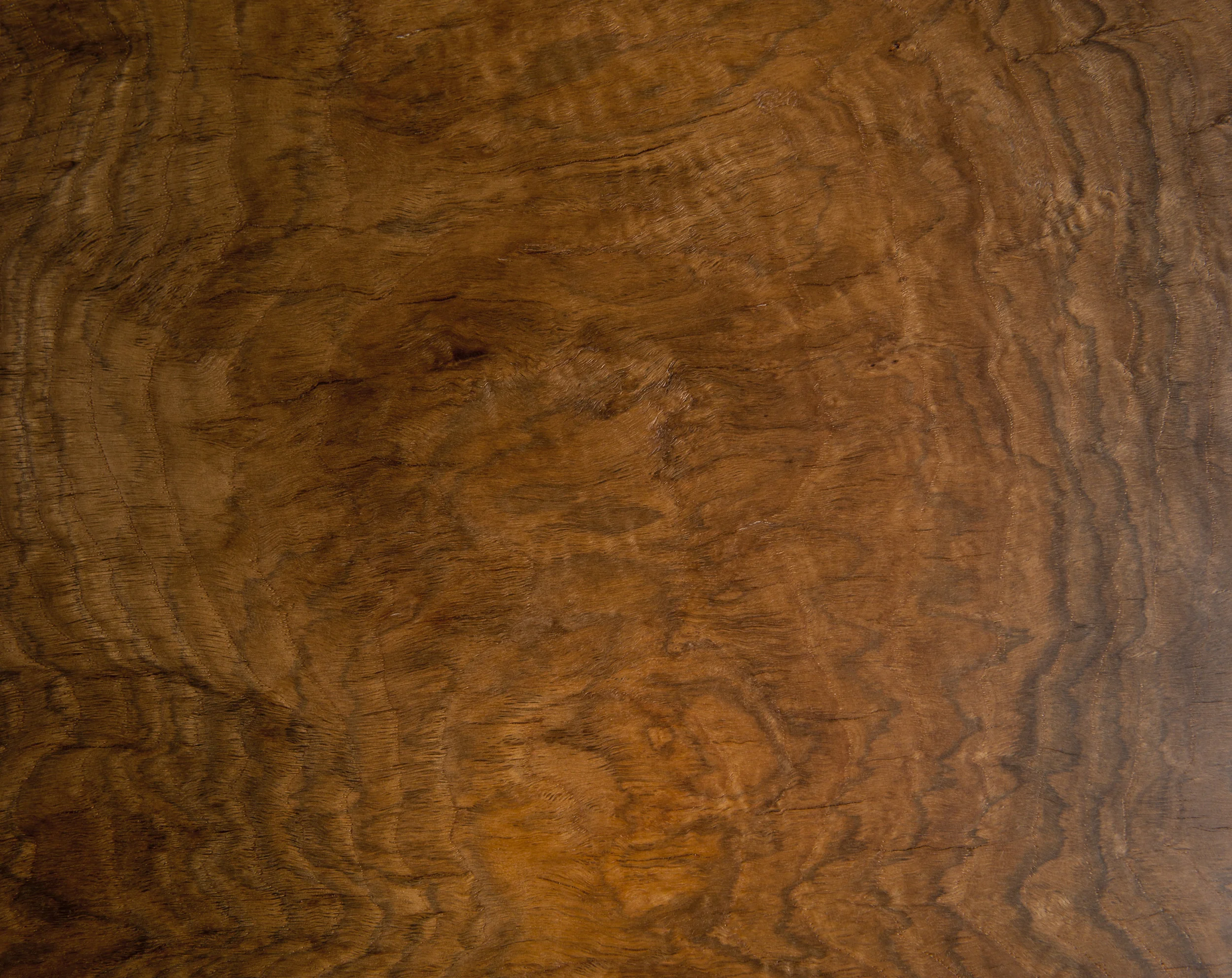 White Oak Muscle Veneer - Rotary Cut