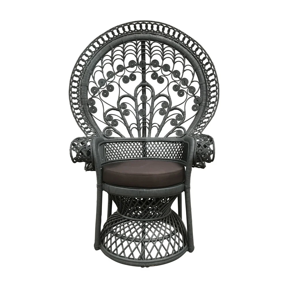 Painted Rattan Peacock Chair
