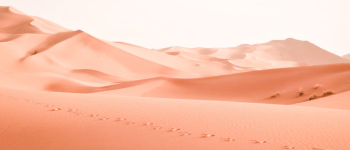 desert.jpg