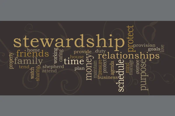 The Stewardship Privilege