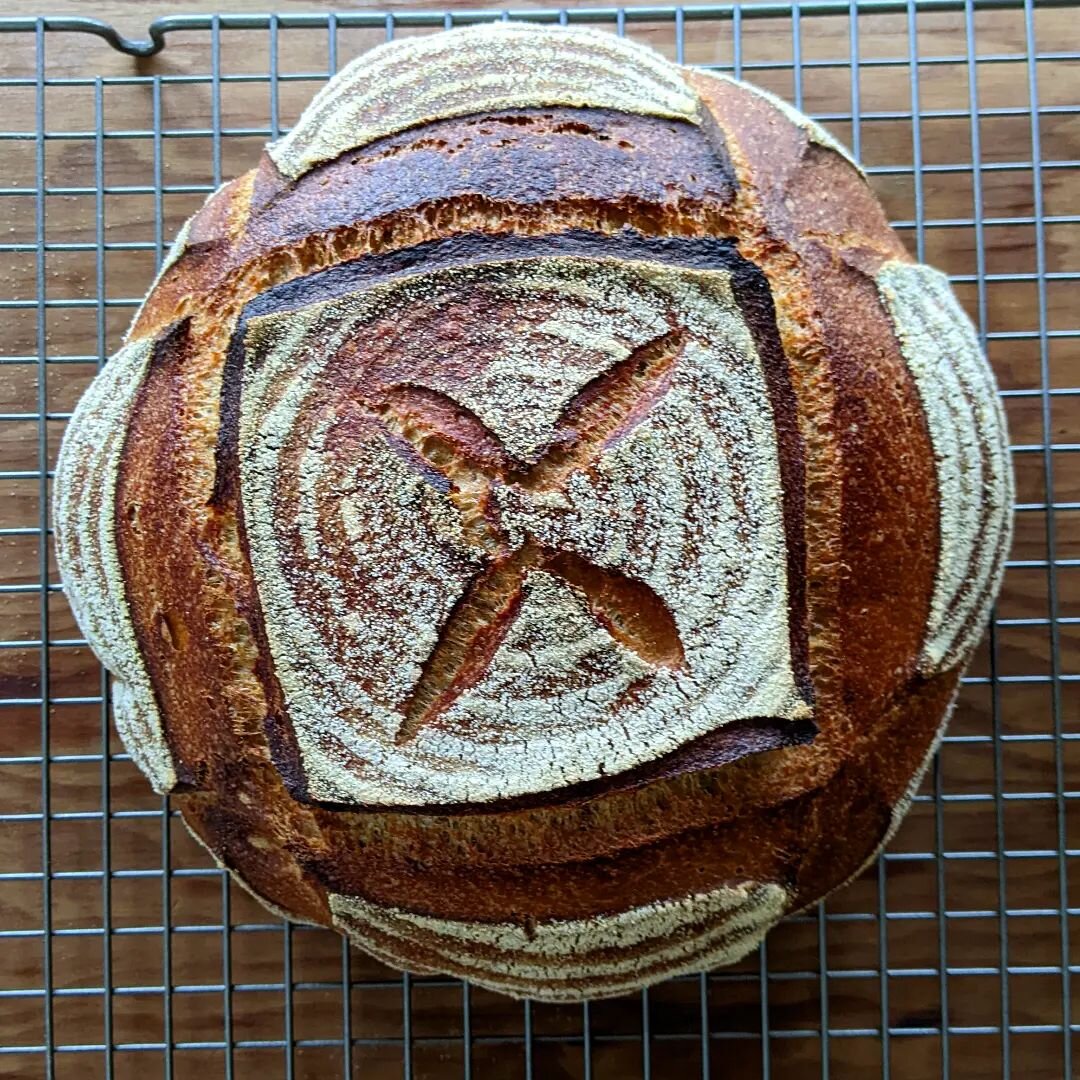 process of sky and soil. lovingly grown, milled, baked. tended to by many hands. alive with natural cultures. intention to nourish and share. 

organic wheat sourdough. local grains milled by @trukenbrodteam