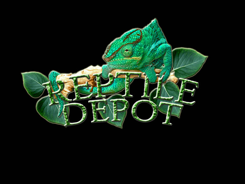Custom Business Logo